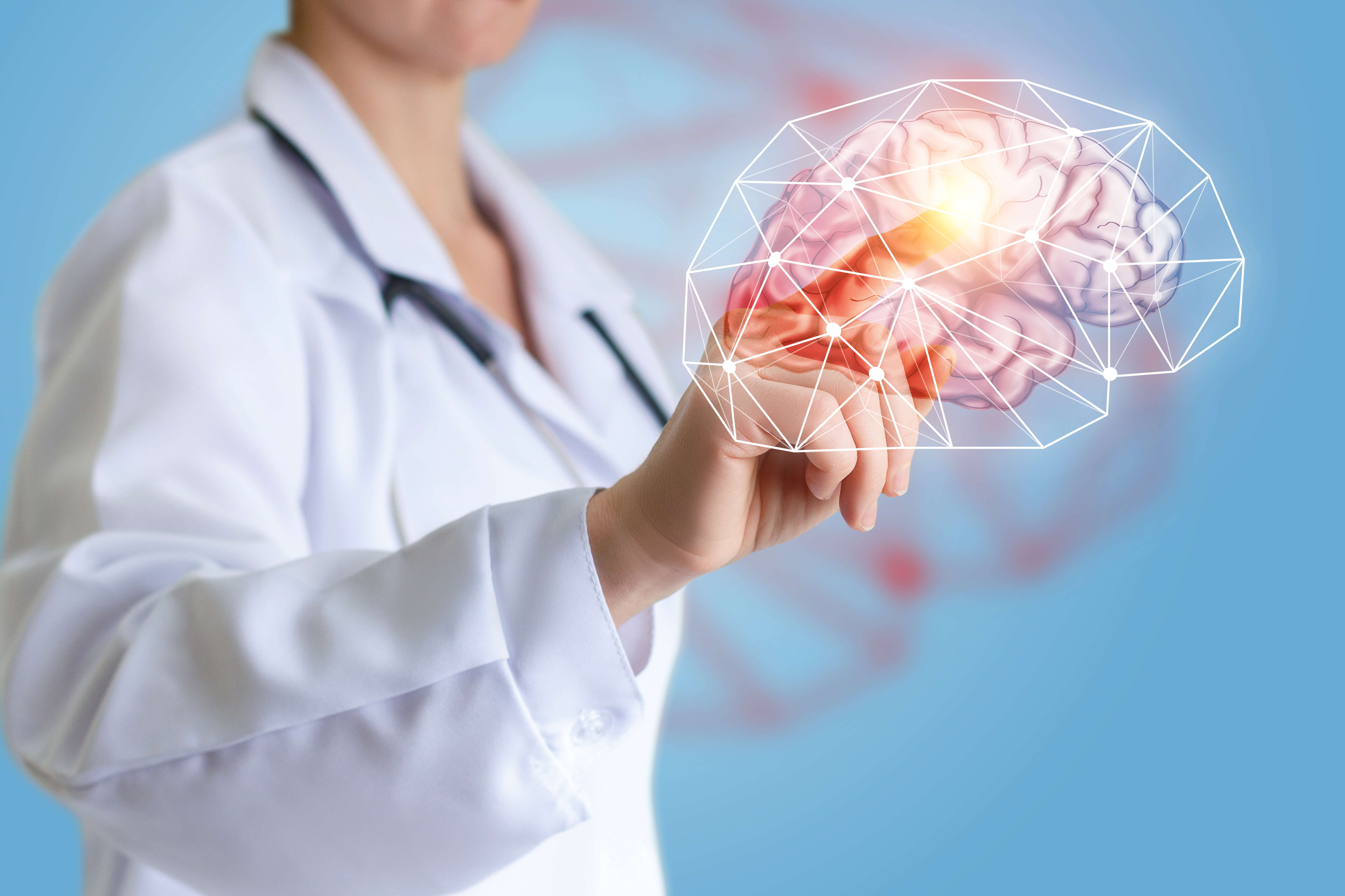 agyműködés, memória 