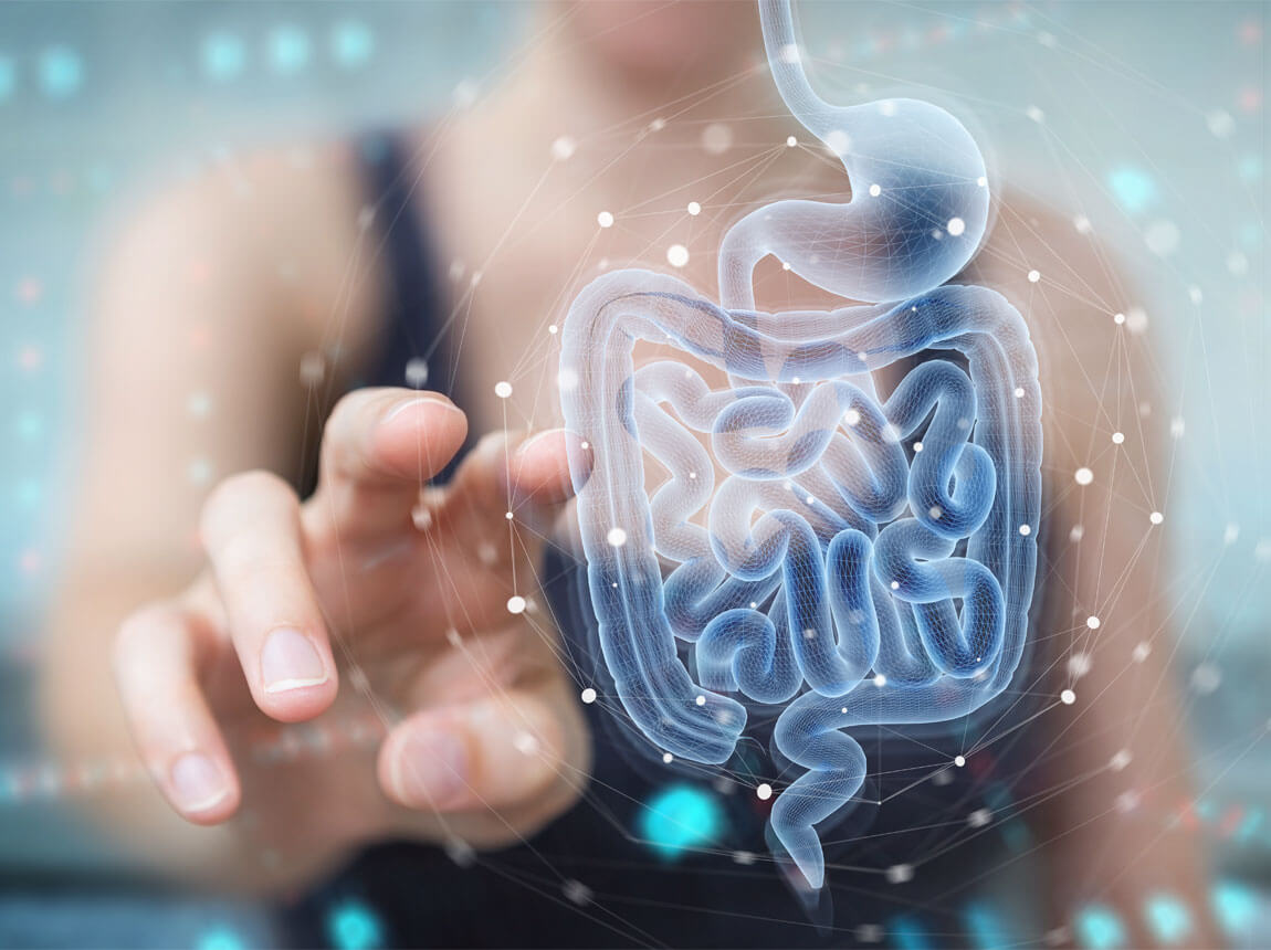 belek, probiotikumok