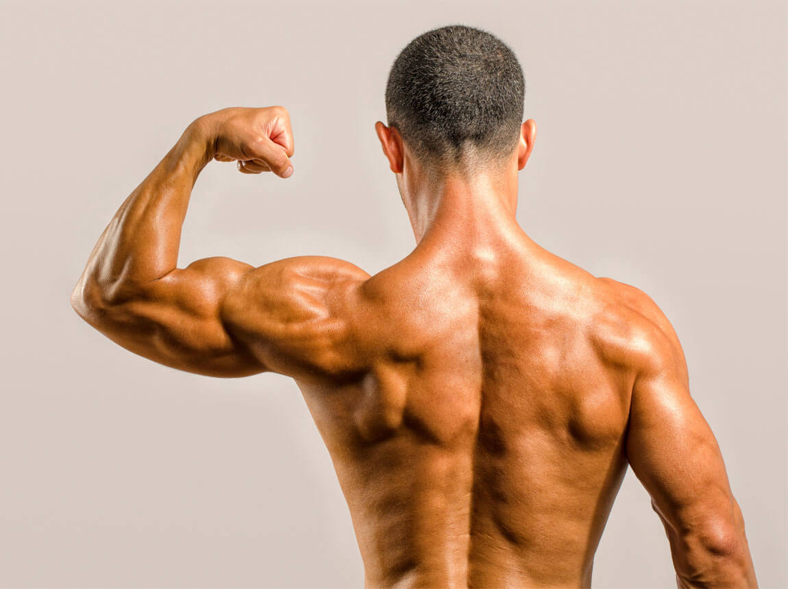 bicepsz edz&eacute;s