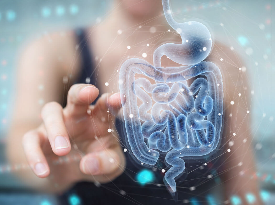 probiotikum, egészséges bélflóra, emésztés