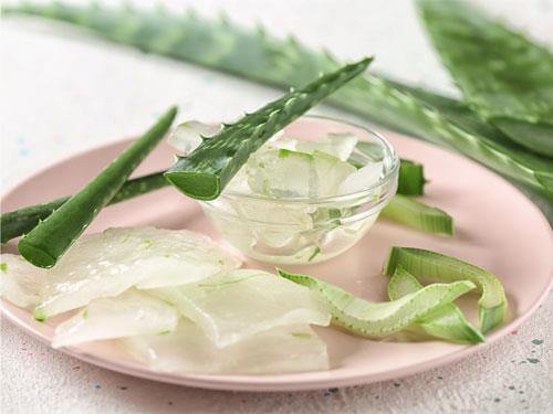 Aloe vera – tulajdonságok, hatások és felhasználás