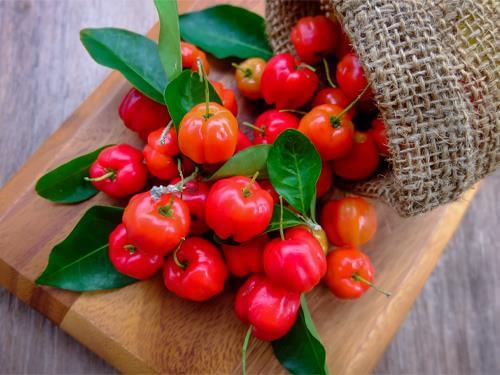 Gyümölcs acerola - gazdag C-vitamin forrás. Előnyök és előnyök