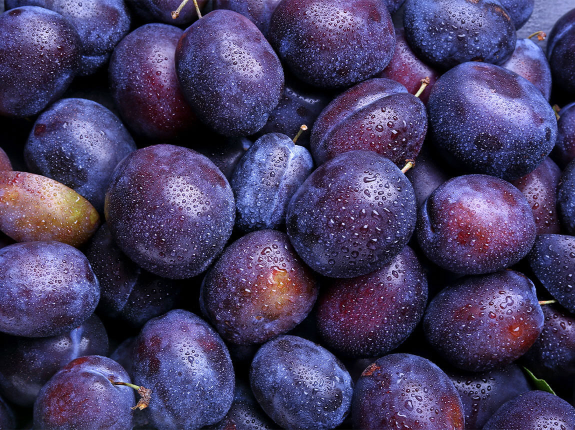 A h&aacute;zi szilvafa (Prunus domestica)