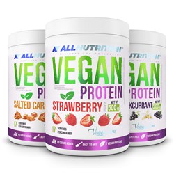 3 x VEGAN PROTEIN 500g