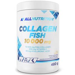 KOLLAGÉN HAL 10 000 mg