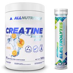Kreatin-monohidrát (Creatine Muscle Max) + ajándék