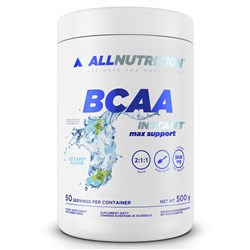 BCAA MAX SUPPORT INSTANT